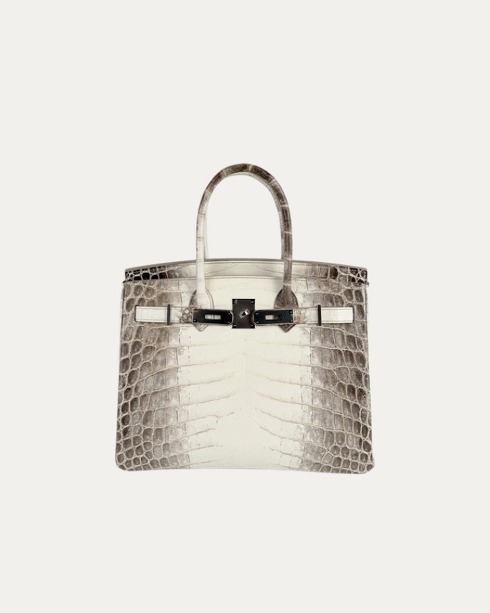 Hermès Birkin Himalaya 변색 복원